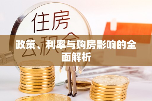 乐东政策、利率与购房影响的全面解析