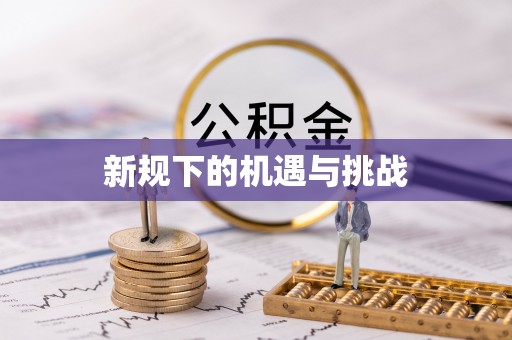乐东新规下的机遇与挑战