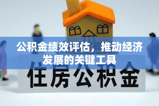 乐东公积金绩效评估，推动经济发展的关键工具