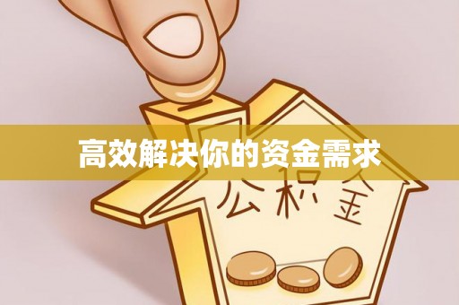 乐东高效解决你的资金需求
