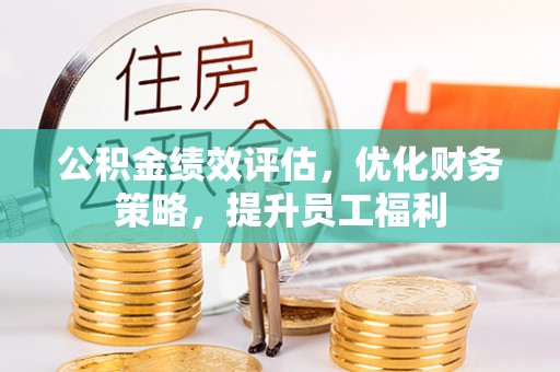 乐东公积金绩效评估，优化财务策略，提升员工福利
