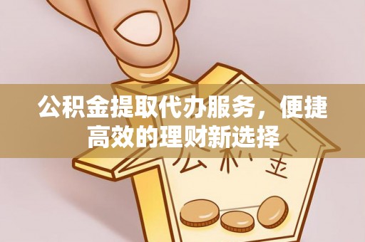 乐东公积金提取代办服务，便捷高效的理财新选择