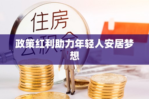 乐东政策红利助力年轻人安居梦想