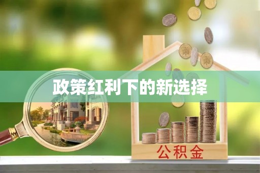 乐东政策红利下的新选择