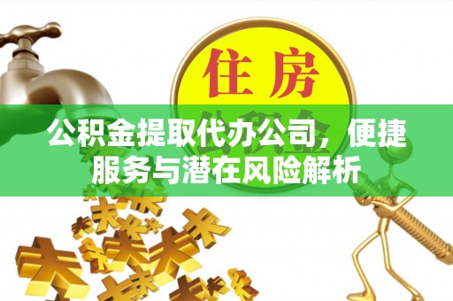 乐东公积金提取代办公司，便捷服务与潜在风险解析
