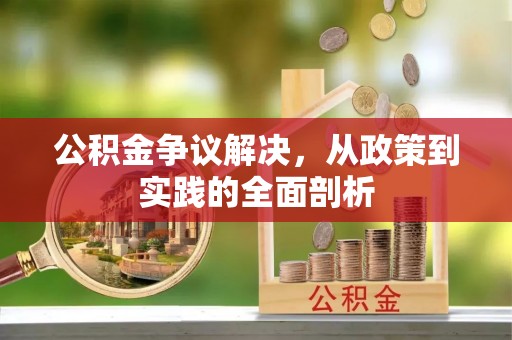 乐东公积金争议解决，从政策到实践的全面剖析