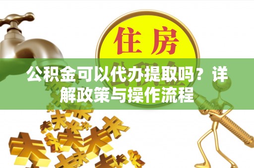 乐东公积金可以代办提取吗？详解政策与操作流程