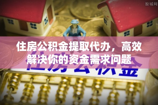 乐东住房公积金提取代办，高效解决你的资金需求问题