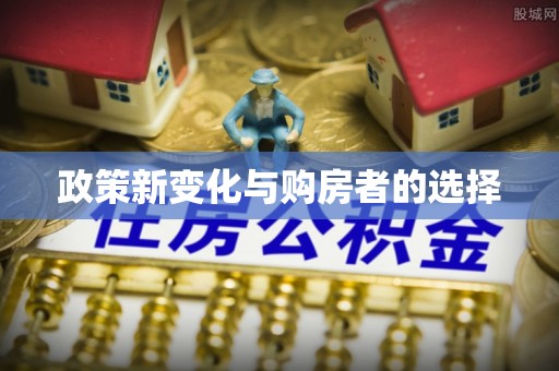 乐东政策新变化与购房者的选择