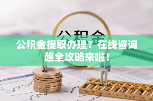 乐东公积金提取办理？在线咨询超全攻略来啦！