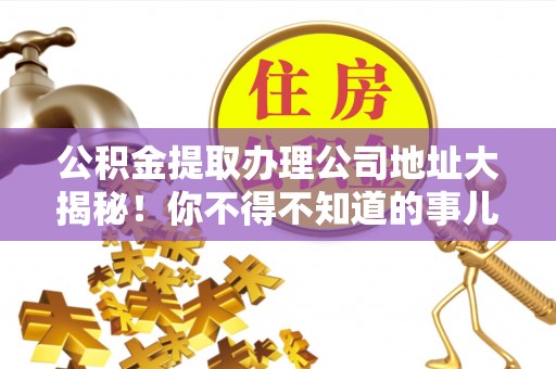 乐东公积金提取办理公司地址大揭秘！你不得不知道的事儿