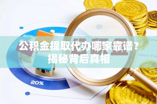 乐东公积金提取代办哪家靠谱？揭秘背后真相