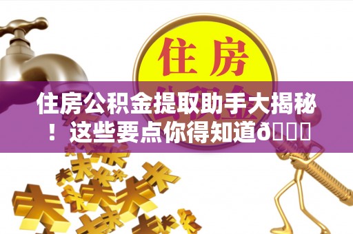 乐东住房公积金提取助手大揭秘！这些要点你得知道😎