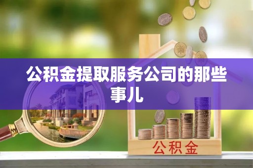 乐东公积金提取服务公司的那些事儿