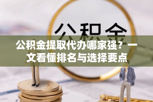 乐东公积金提取代办哪家强？一文看懂排名与选择要点