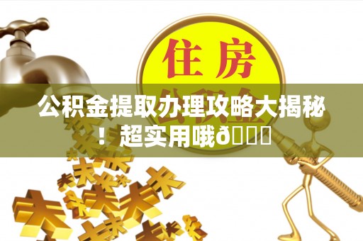 乐东公积金提取办理攻略大揭秘！超实用哦😉