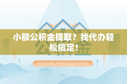 乐东小额公积金提取？找代办轻松搞定！