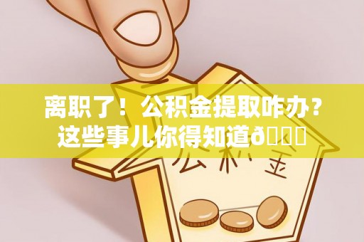 乐东离职了！公积金提取咋办？这些事儿你得知道😎