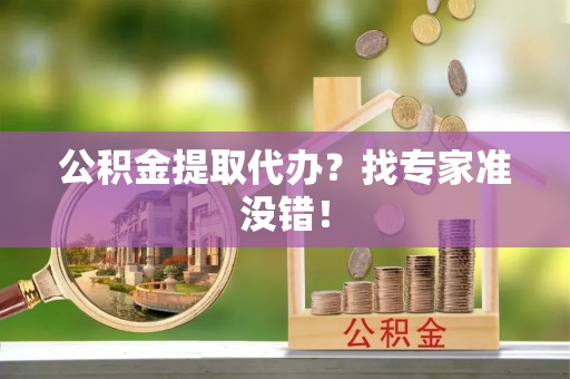 乐东公积金提取代办？找专家准没错！