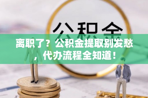 乐东离职了？公积金提取别发愁，代办流程全知道！