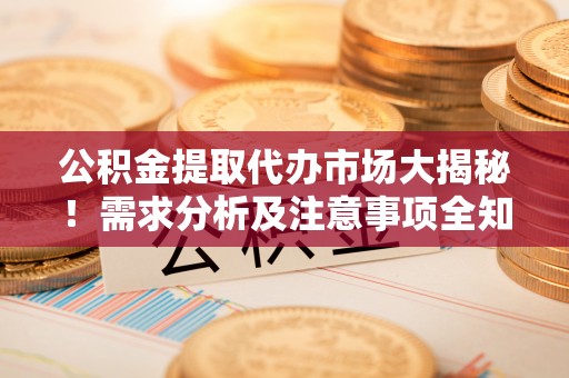乐东公积金提取代办市场大揭秘！需求分析及注意事项全知道