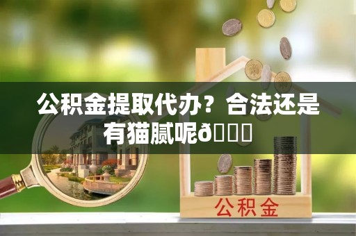 乐东公积金提取代办？合法还是有猫腻呢😏