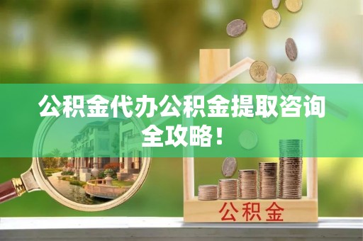乐东公积金代办公积金提取咨询全攻略！