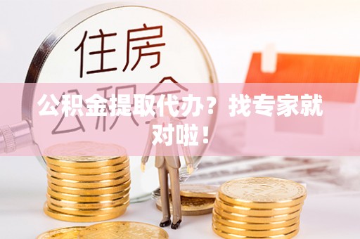 乐东公积金提取代办？找专家就对啦！