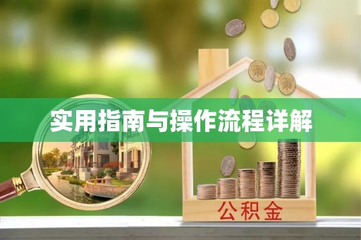 乐东实用指南与操作流程详解