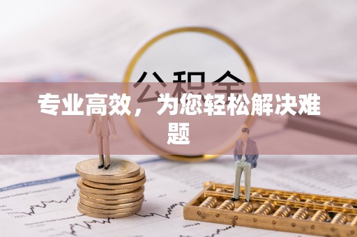 乐东专业高效，为您轻松解决难题