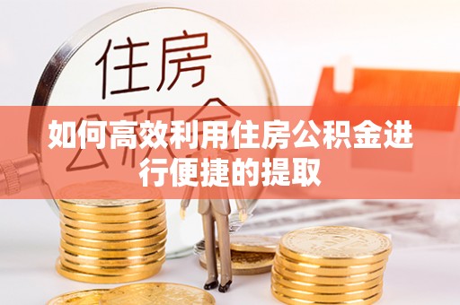 乐东如何高效利用住房公积金进行便捷的提取