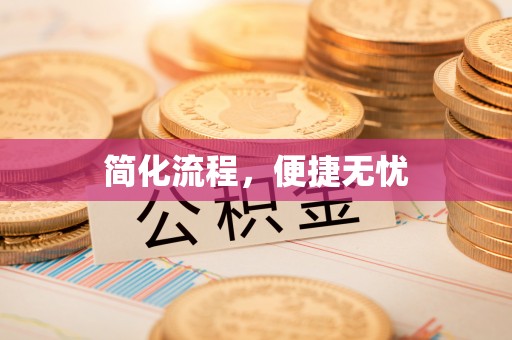 乐东简化流程，便捷无忧