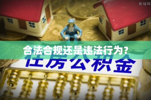 乐东合法合规还是违法行为？