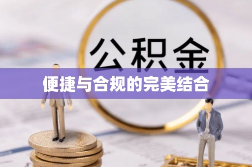 乐东便捷与合规的完美结合