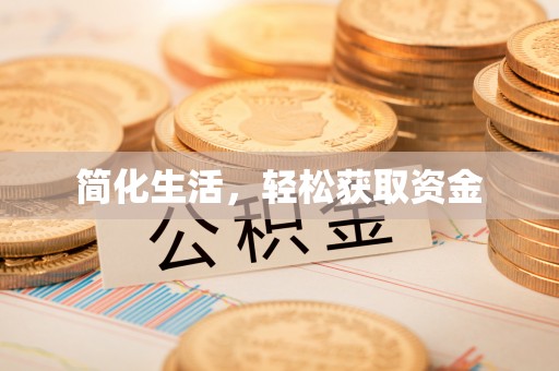 乐东简化生活，轻松获取资金