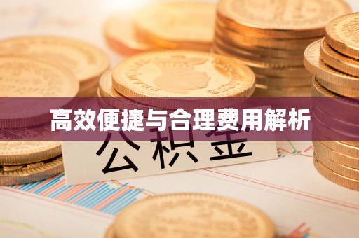 乐东高效便捷与合理费用解析