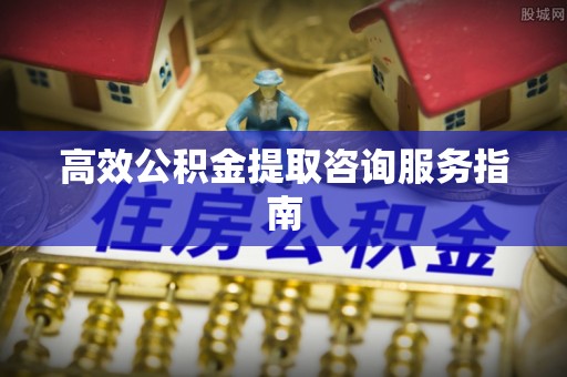 乐东高效公积金提取咨询服务指南